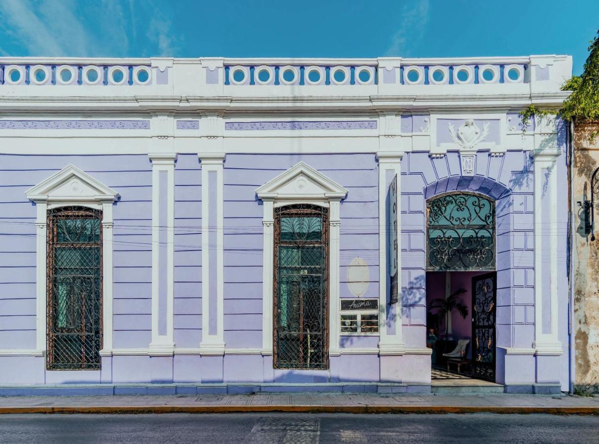 Hotel Lavanda Cas Merida Mérida Exterior foto Casa Paoli